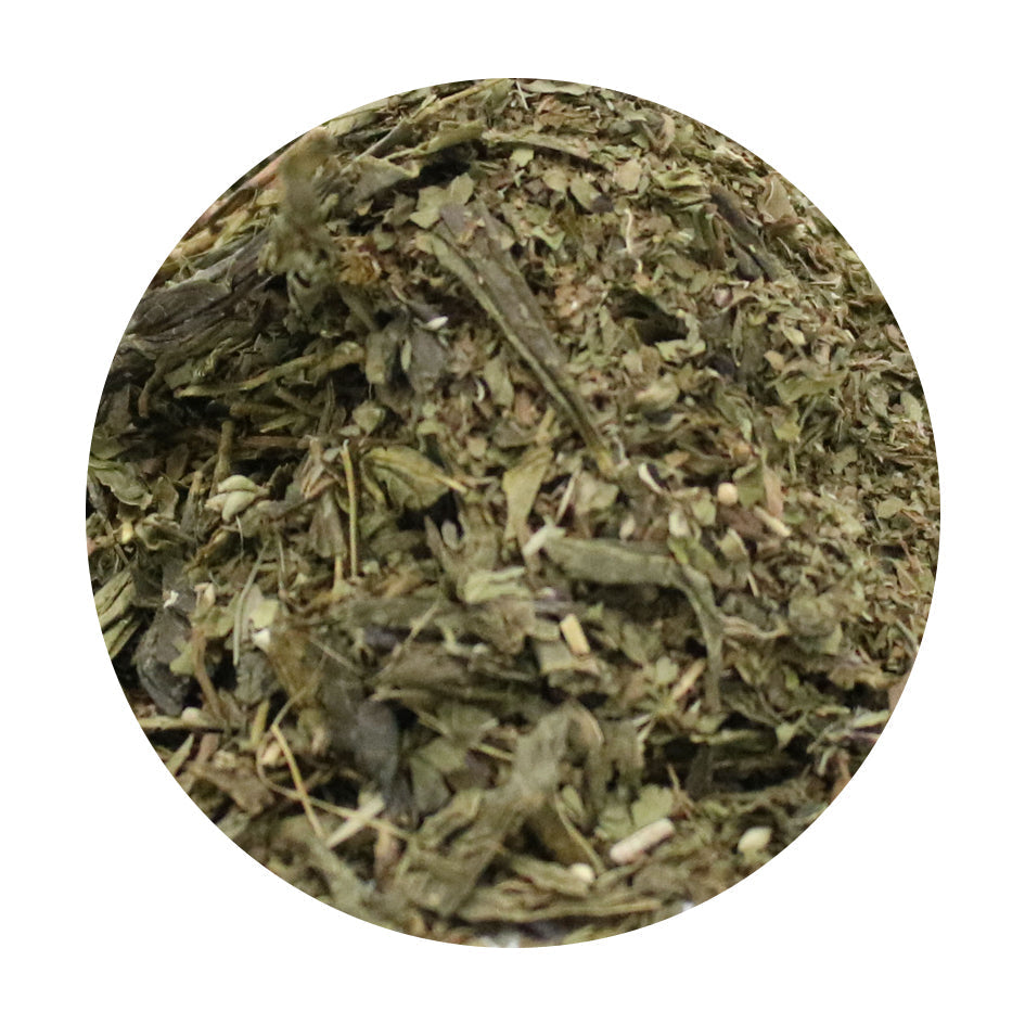 Sencha Mint